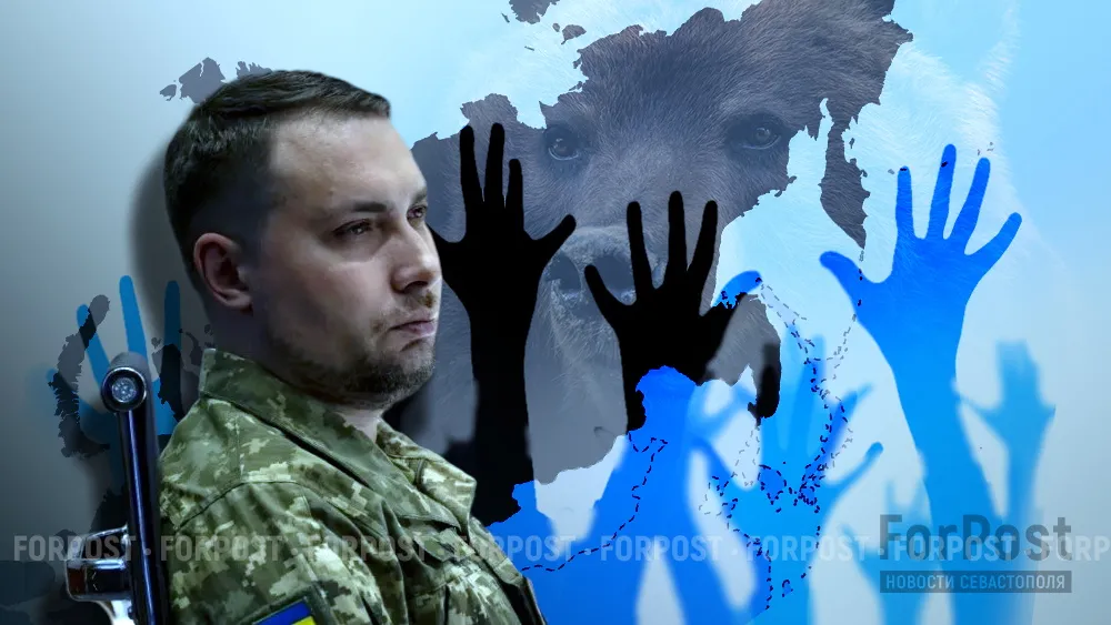 Буданов* назвал лучший месяц 2026-го для достижения мира