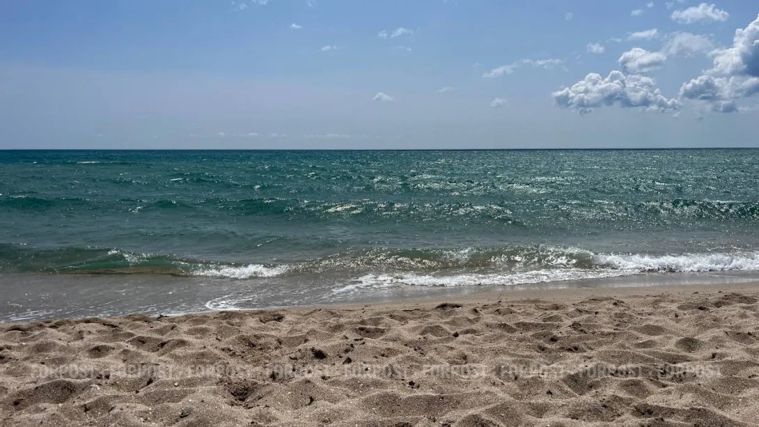 СевСети #938: Страсти на дорогах, пропавший конь и летающие рыбы