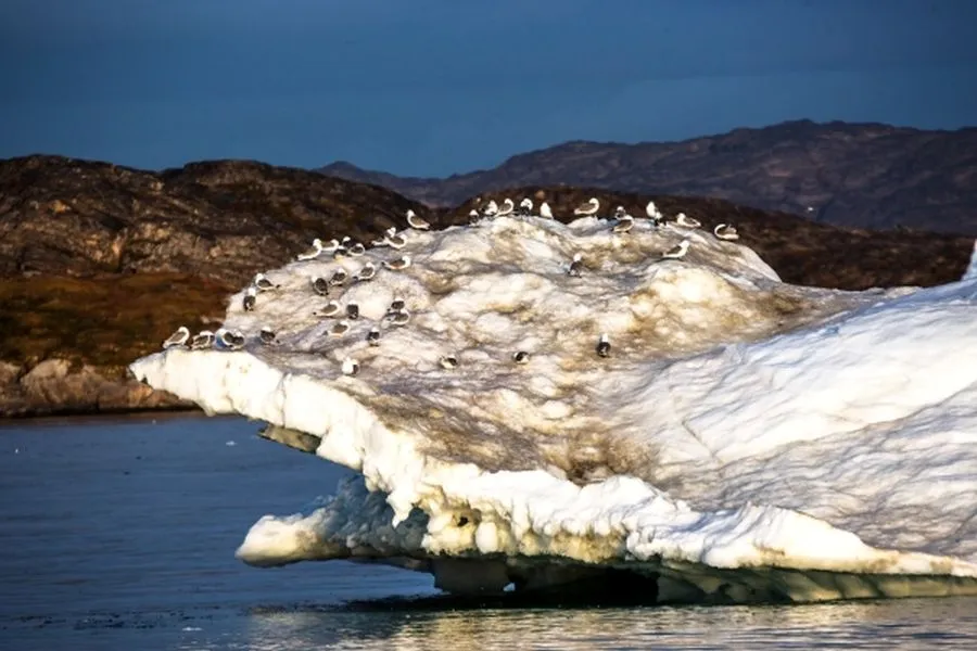 Трамп не забыл о Гренландии