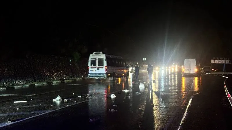 Пенсионерка погибла под колёсами фургона на юге Крыма 