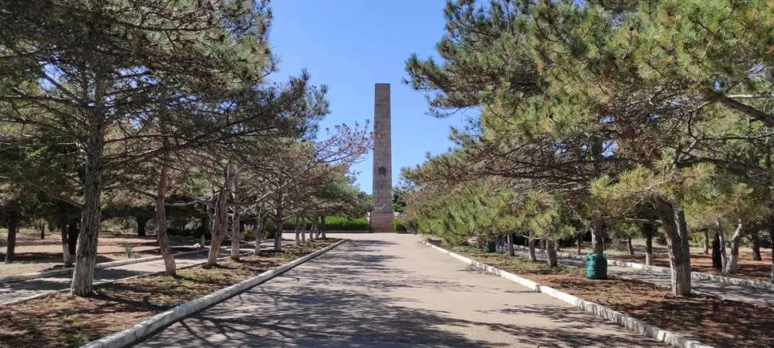 В Севастополе благоустроят сосновый парк на «Автобате» 