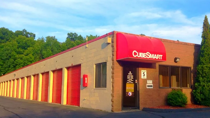 В США мужчина купил заброшенную ячейку склада с хламом и разбогател