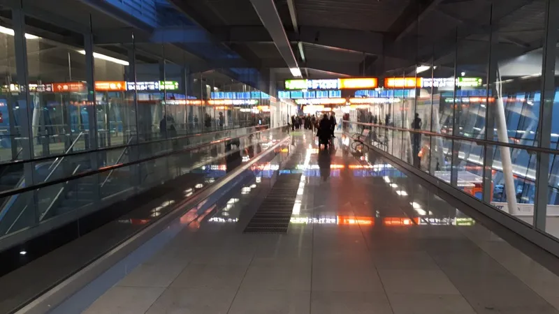 В польском аэропорту задержали украинку с надписью на лбу