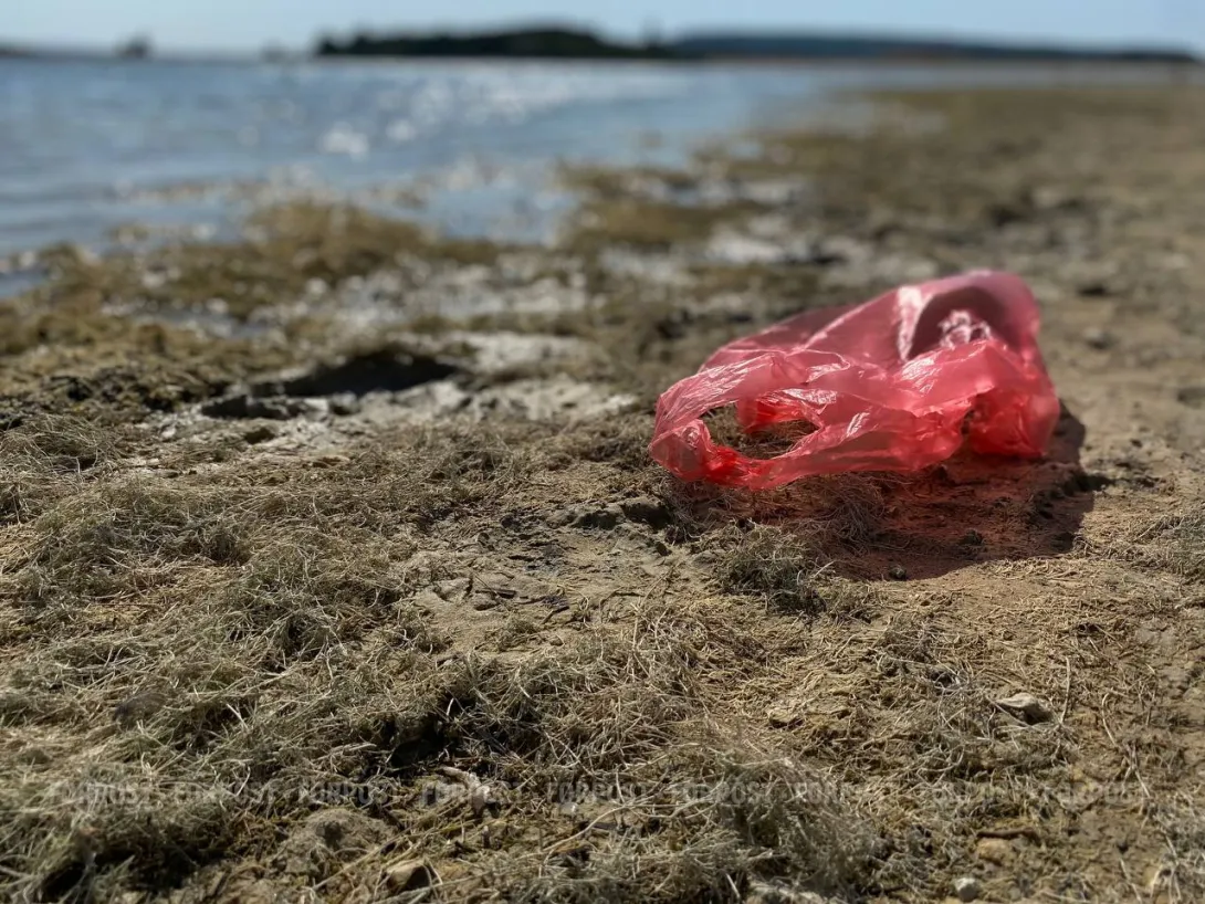 В Севастополе купят машину для очистки моря