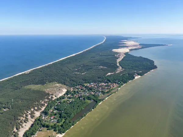 Директор национального парка «Куршская коса» задержан