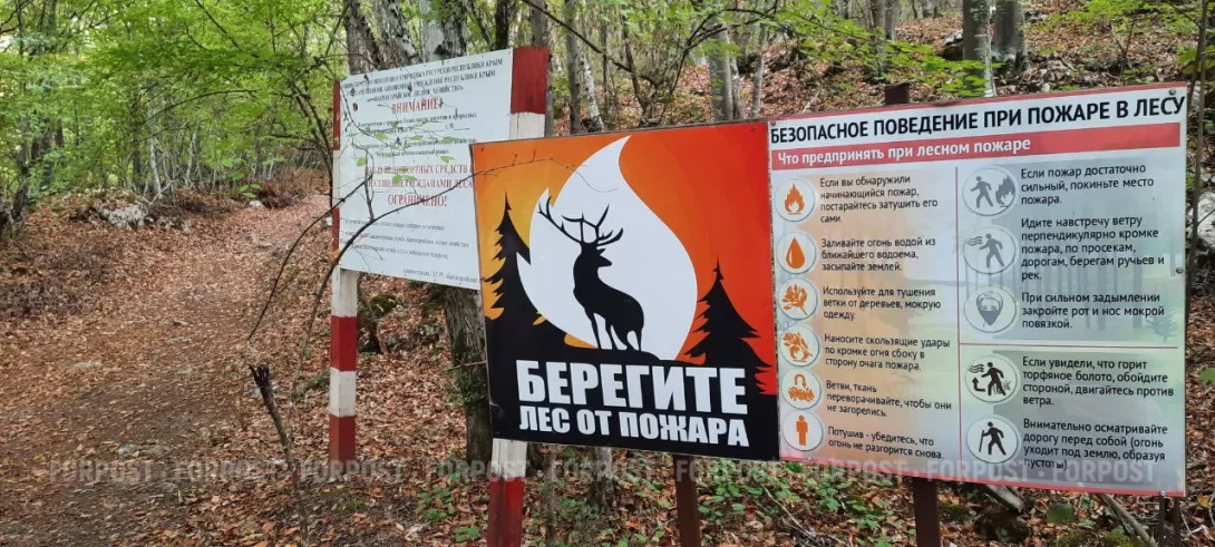 В окрестностях Севастополя горят леса 