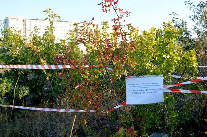 Уничтожать побережье Севастополя начнут в сентябре