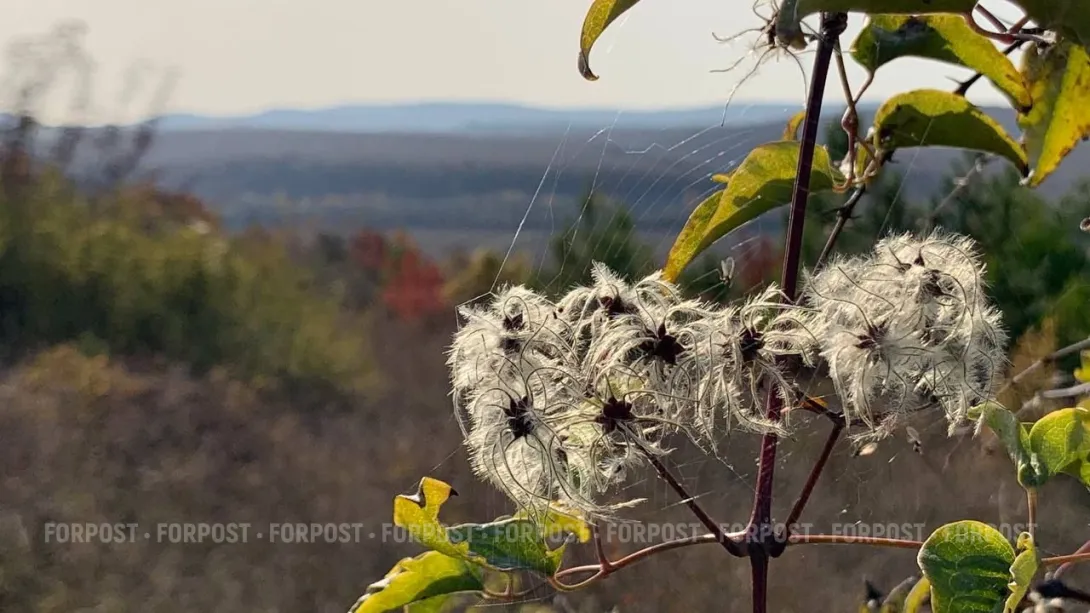  Встреча Нового года в Севастополе обещает быть тёплой 