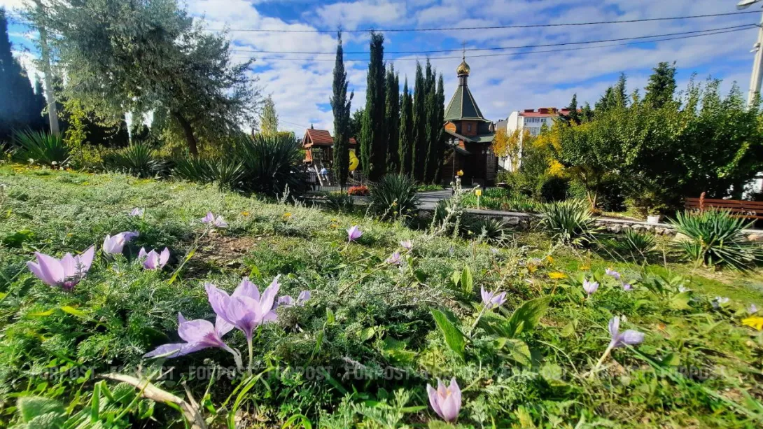 В Севастополе хозяйничает бабье лето