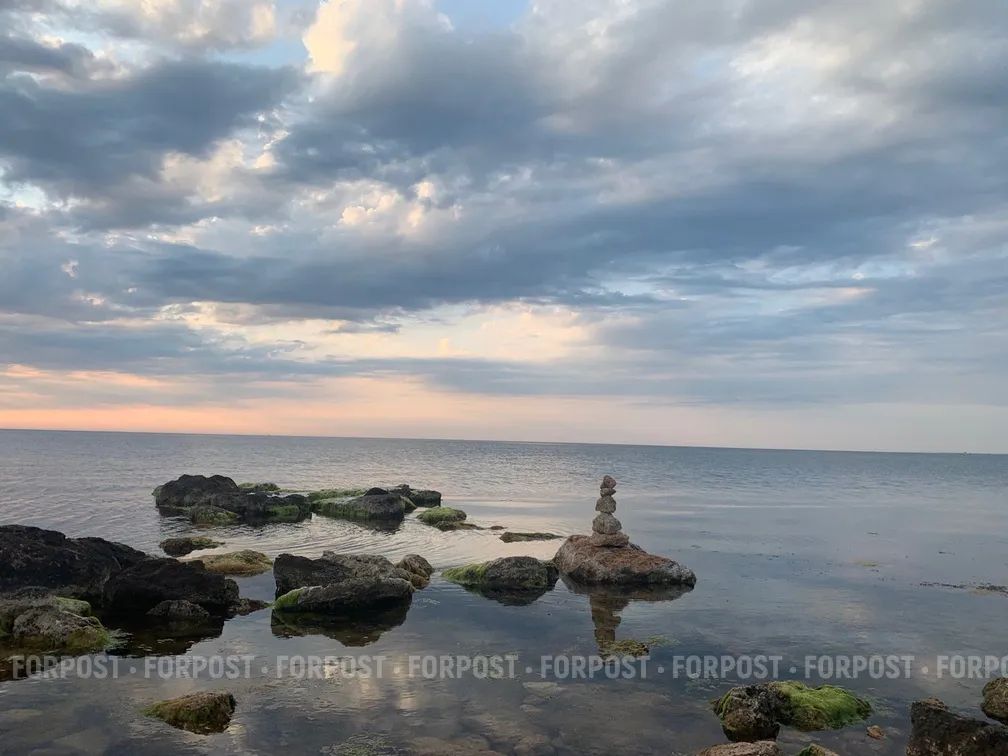 Севсети #817: «Верните полицейских», рассадник крыс и лето в разгаре