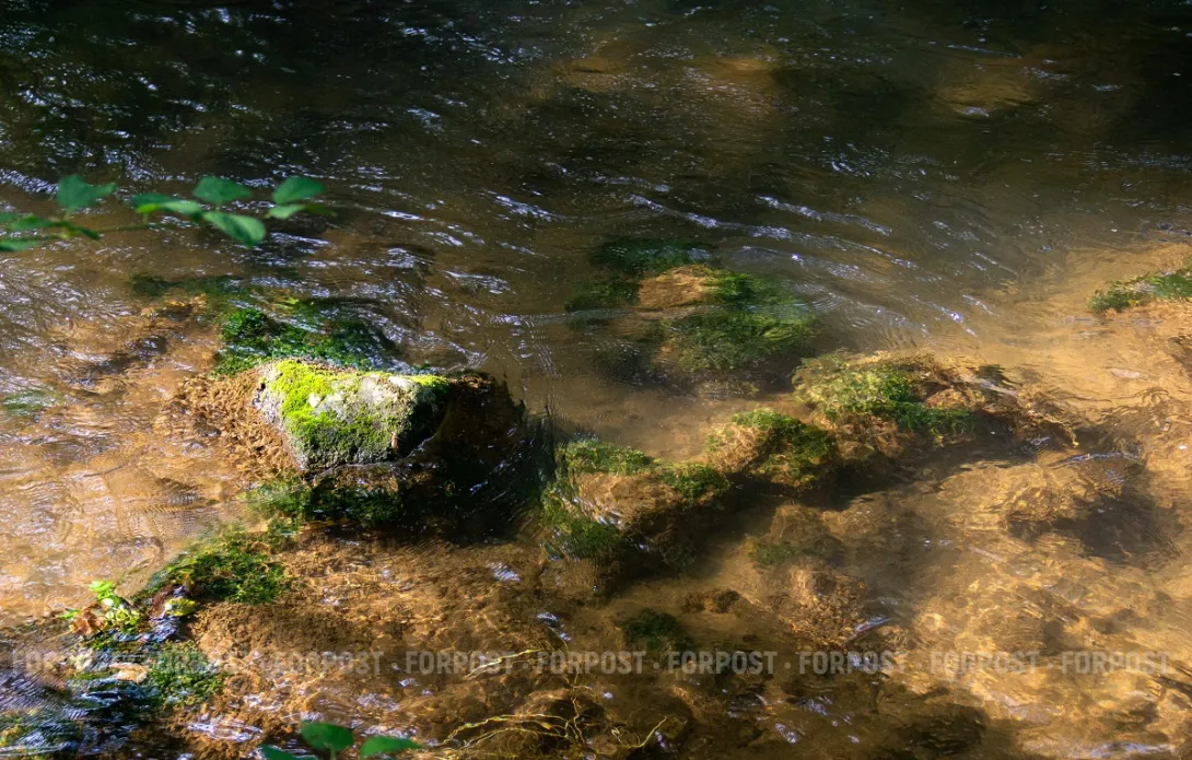 Будут ли в Севастополе ставить эксперименты на людях