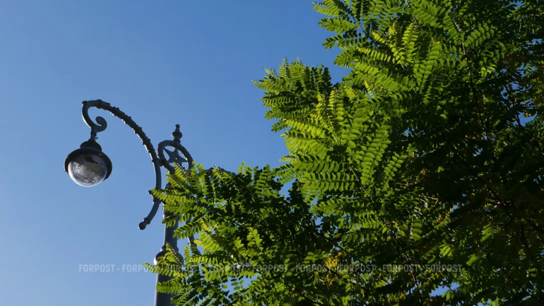 А поговорить? В Севастополе обсудят внешний вид фонарей