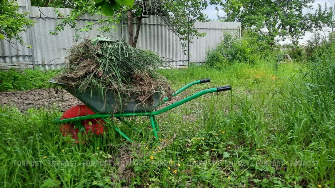 Поправки к шести соткам: что государство планирует поменять в жизни дачников