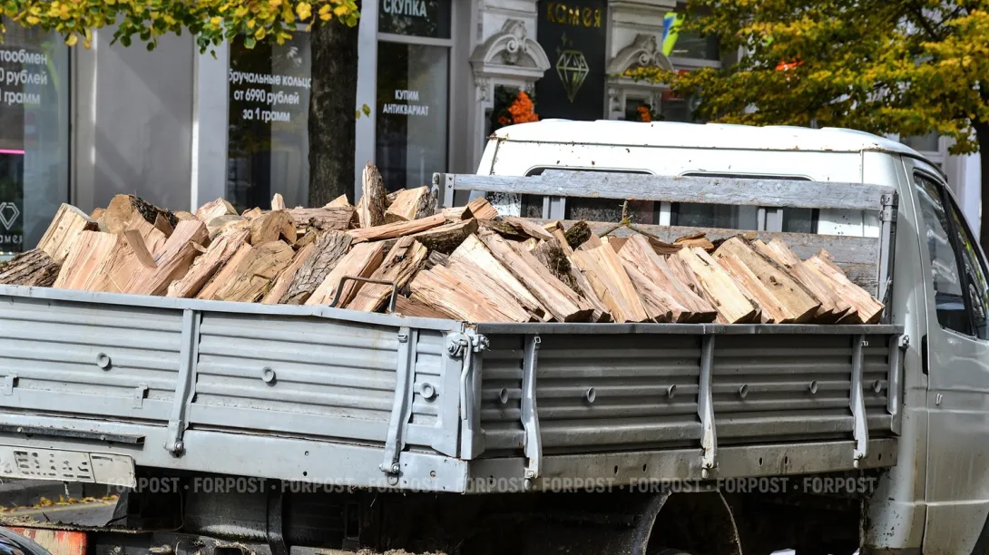 В Севастополе семьям мобилизованных помогут с дровами и углем