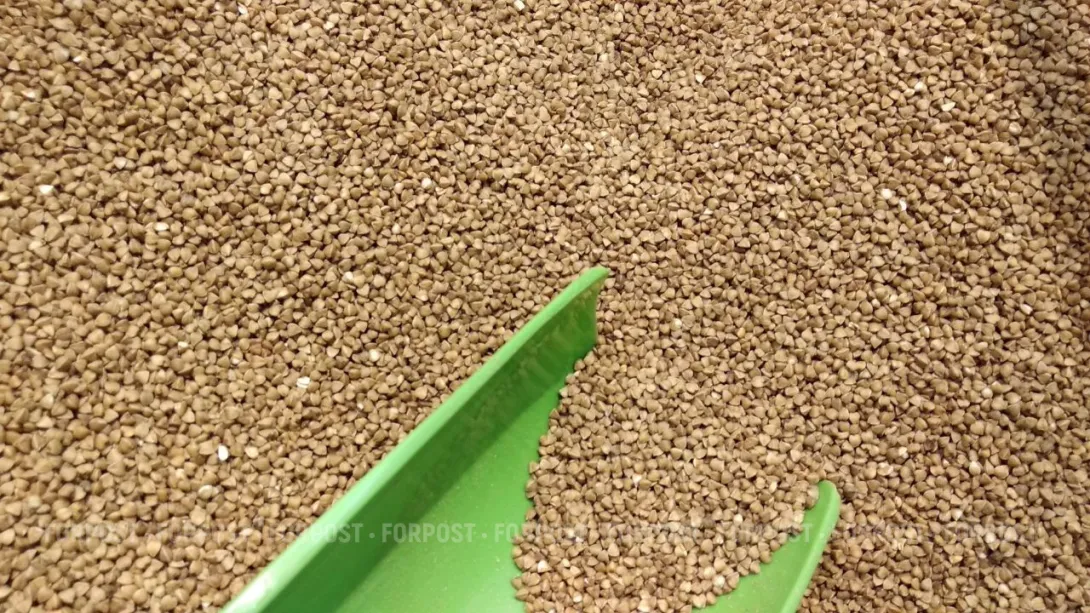 Что творится с ценой на гречку в Севастополе