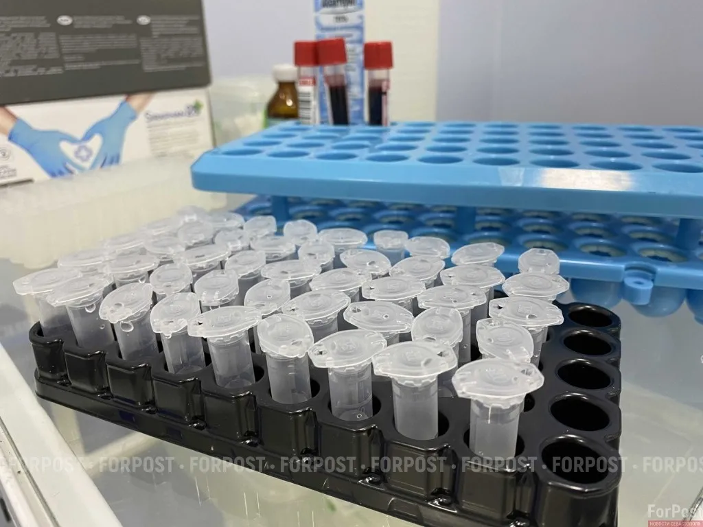 Как проверили вернувшихся из Марокко севастопольцев