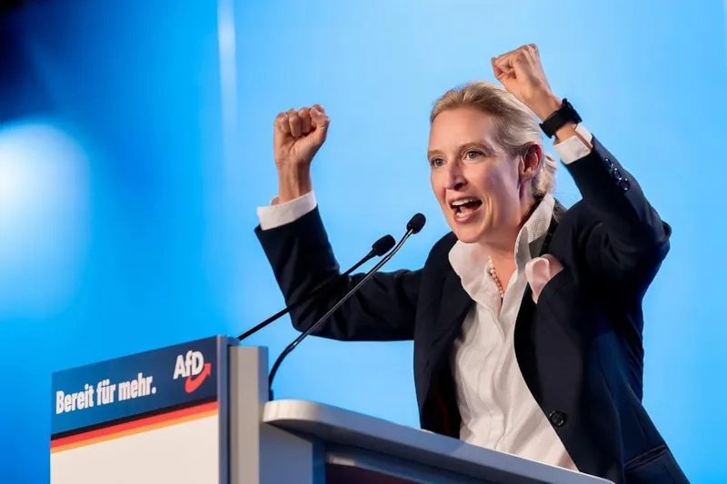 Немецкие правые требуют от Украины компенсаций за оружие и «Северный поток»