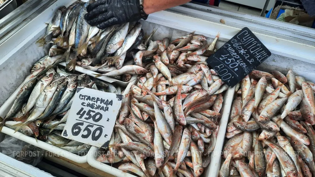 В Севастополе уничтожили тонны опасной чилийской рыбы