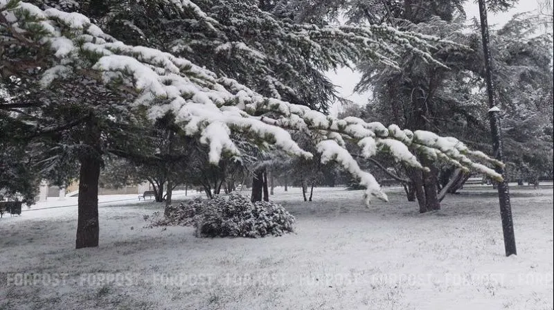 Крымчанам снова предстоит пережить несколько дней зимы