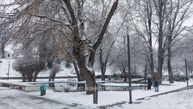 Февраль в Крыму начнётся с метели, ветра и крепких морозов