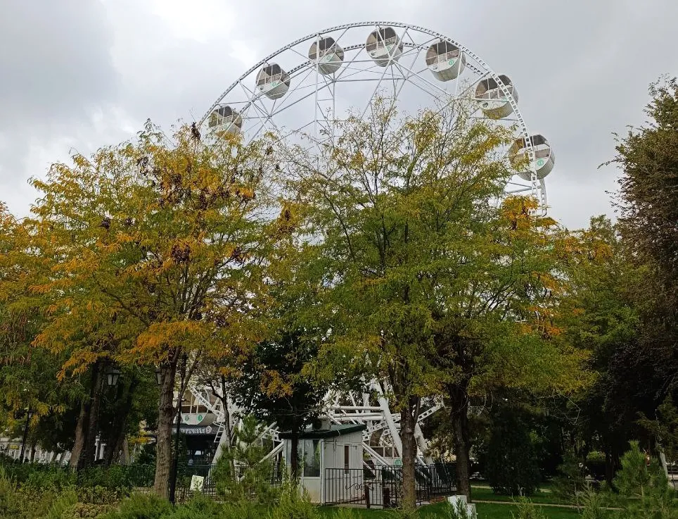 В Севастополе установят новое колесо обозрения — с кондиционированными кабинками