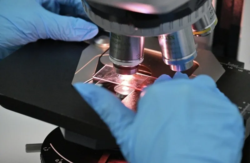 Найдено вещество, меняющее поведение рыб и мышей. Ожидаются испытания на людях