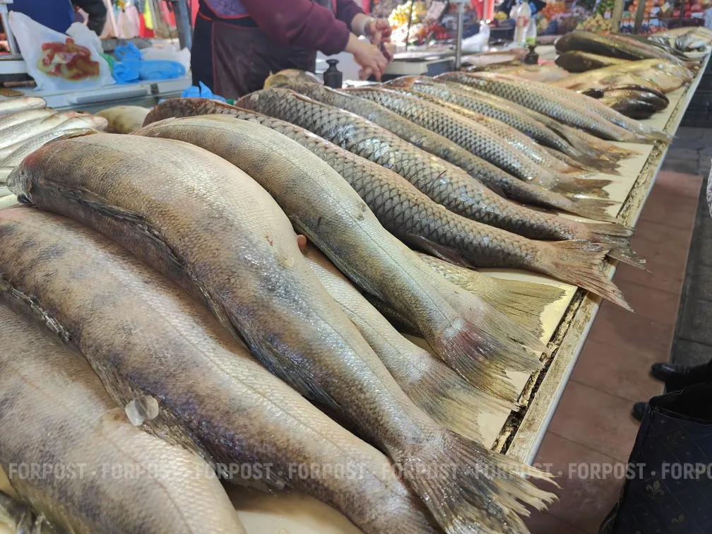 Страна без выхода к морю стала крупнейшим поставщиком рыбы в Россию