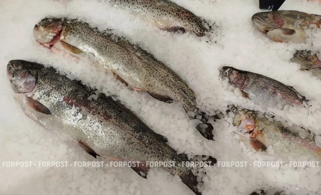 В Севастополе медленно и мучительно умирают рыбоконсервные заводы 