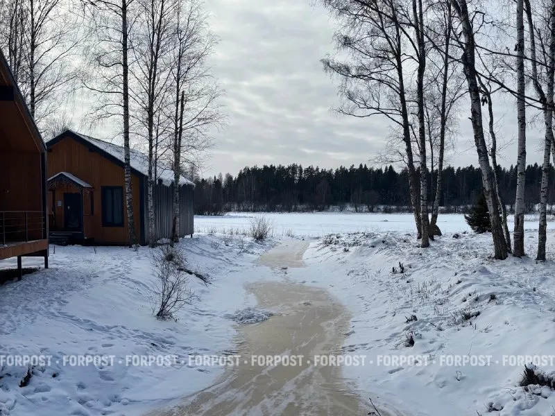 Россияне выбирают жизнь за городом: как не прогадать, покупая участок под дом