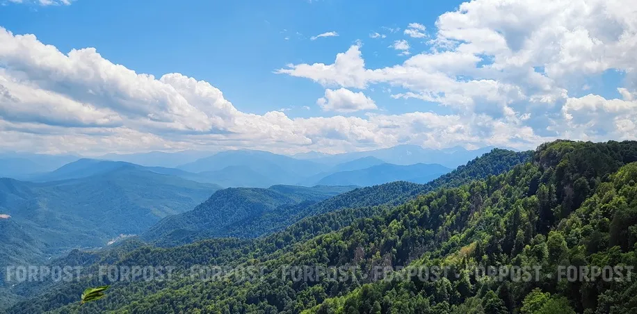 Севастополь не поддержал опасный для природы федеральный законопроект