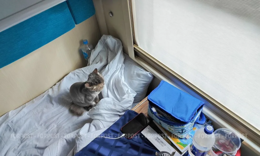 Пассажиры задержавшихся поездов в Крым поделились впечатлениями от поездки