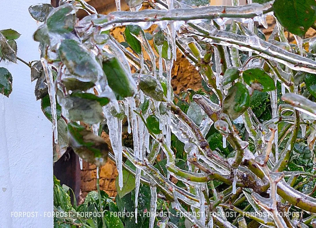 Севастополь ждут температурные качели 