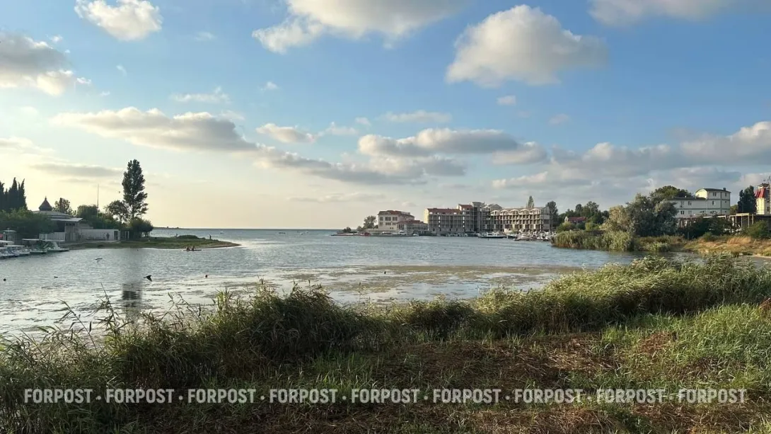 Жители Омеги сочли уборку бухты «субботником против птиц»