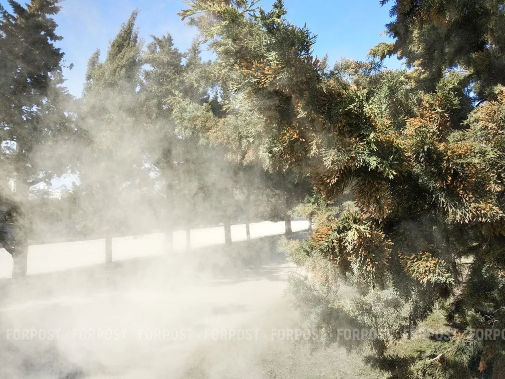 Аллергиков России уже в этом году ждут хорошие новости