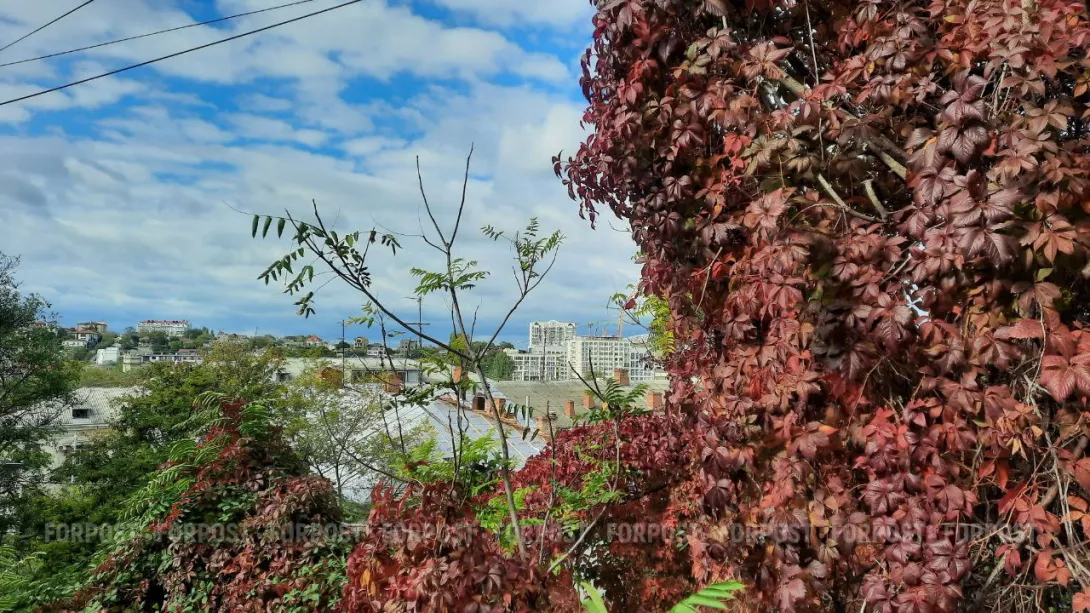 Начало недели в Севастополе будет тёплым и солнечным