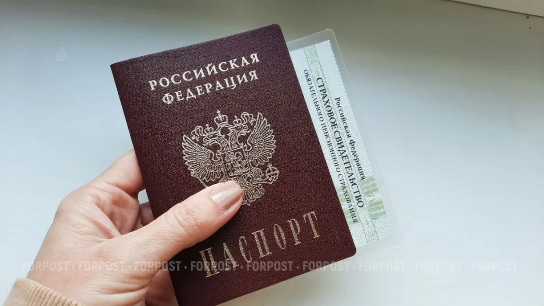 Жители Севастополя смогут получить электронный СНИЛС