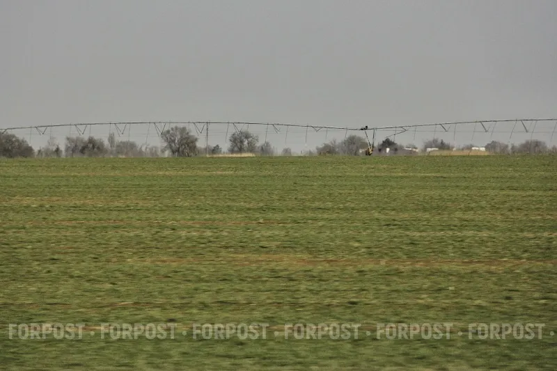 В Севастополе стало ещё больше бесплатной земли