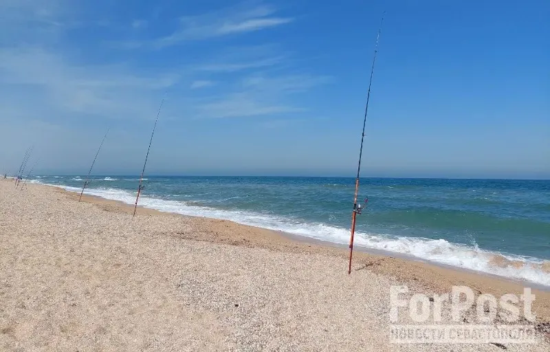 Крым и Херсонскую область предложили соединить ещё одной дорогой