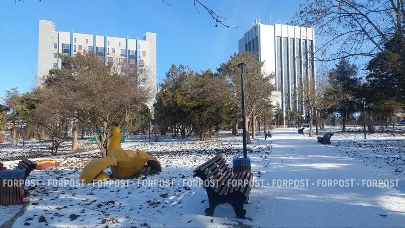 «Курочка» больше не угрожает студентам Крымского федерального университета