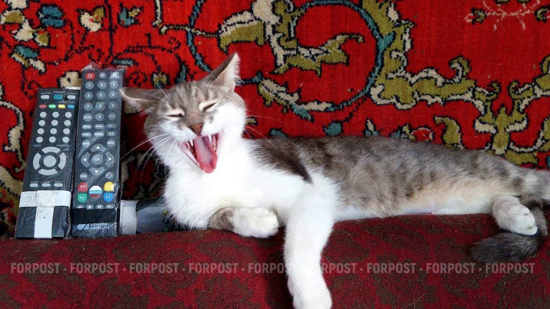 Аналоговое ТВ закончится в Севастополе с понедельника 