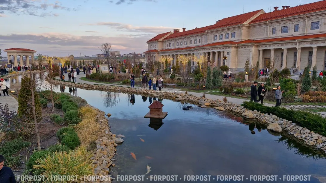 Бакланы-хулиганы охотятся на карпов кои в Новом Херсонесе