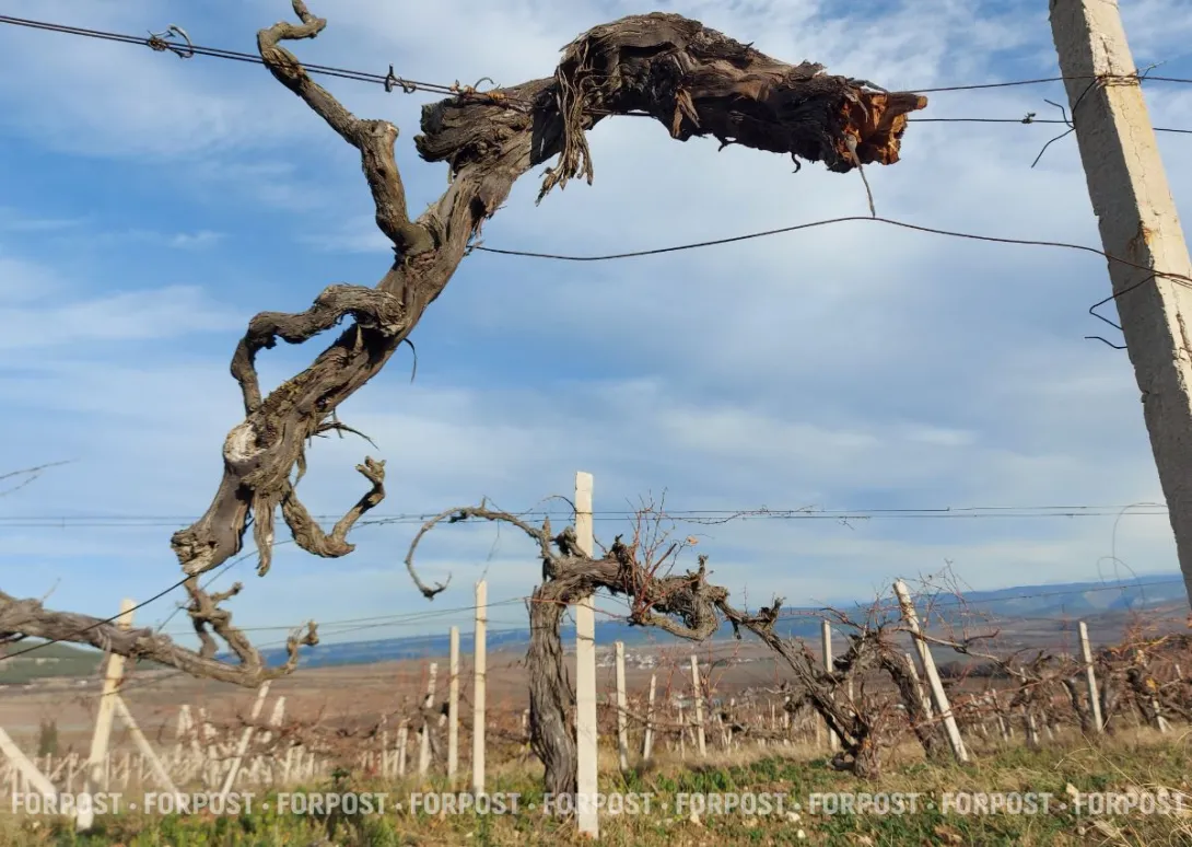 Правительство РФ разработало новый законопроект для Крыма и Севастополя