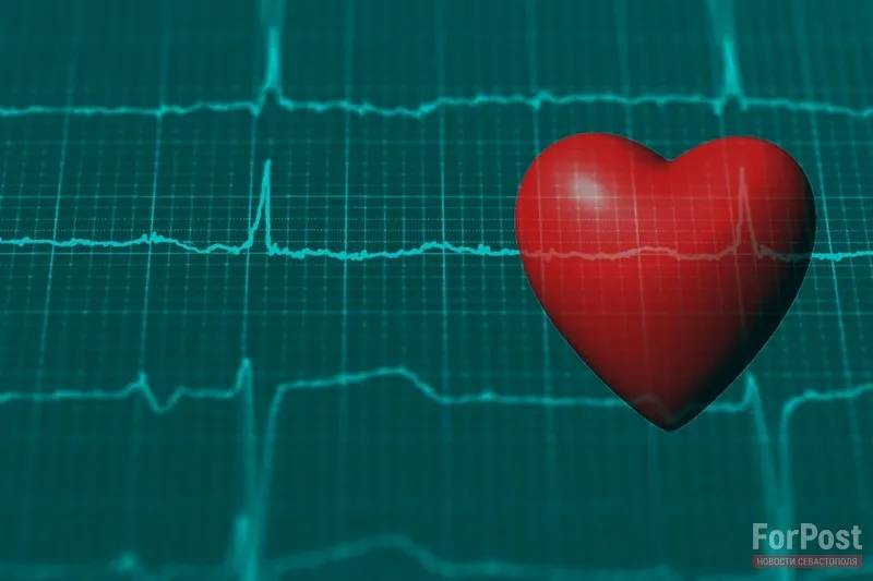 Эксперимент доказал: всего два дня простой диеты помогают защитить сердце