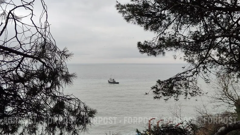 Шторм, лёд или дрейф: какие шансы остаются у пропавших в Азовском море рыбаков