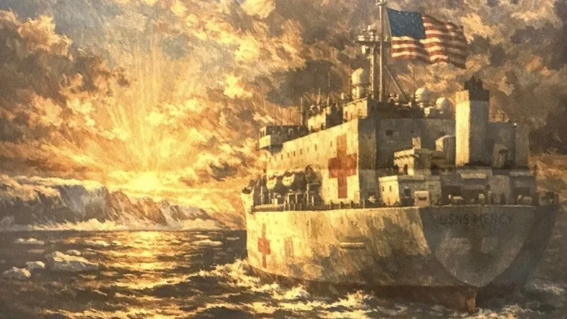 Пентагон пытается понять, какой плавучий госпиталь Трамп отправил в Гренландию