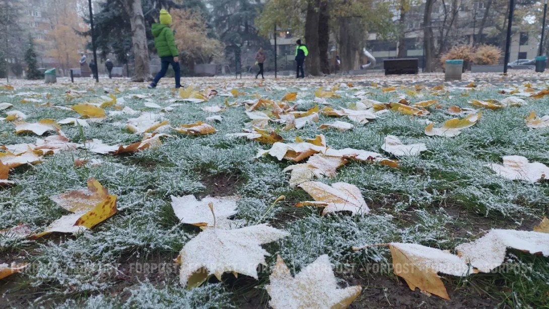 В Севастополе на выходных возможны заморозки