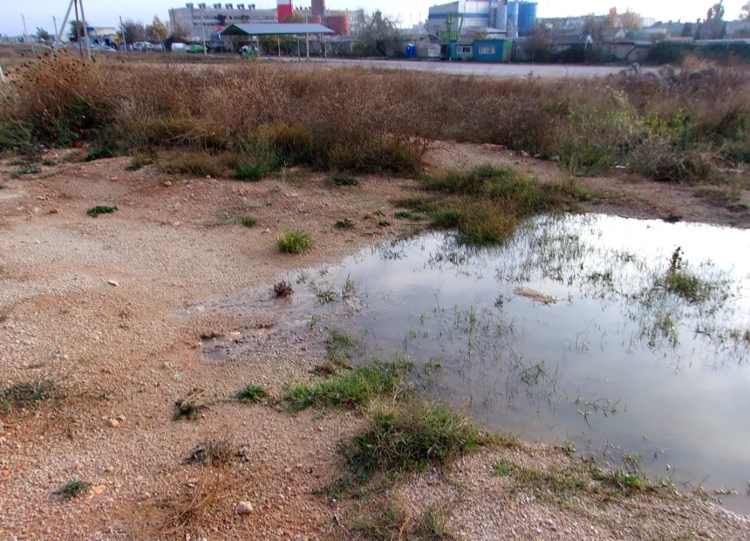 «Канализационная бомба» снова рванула в Севастополе