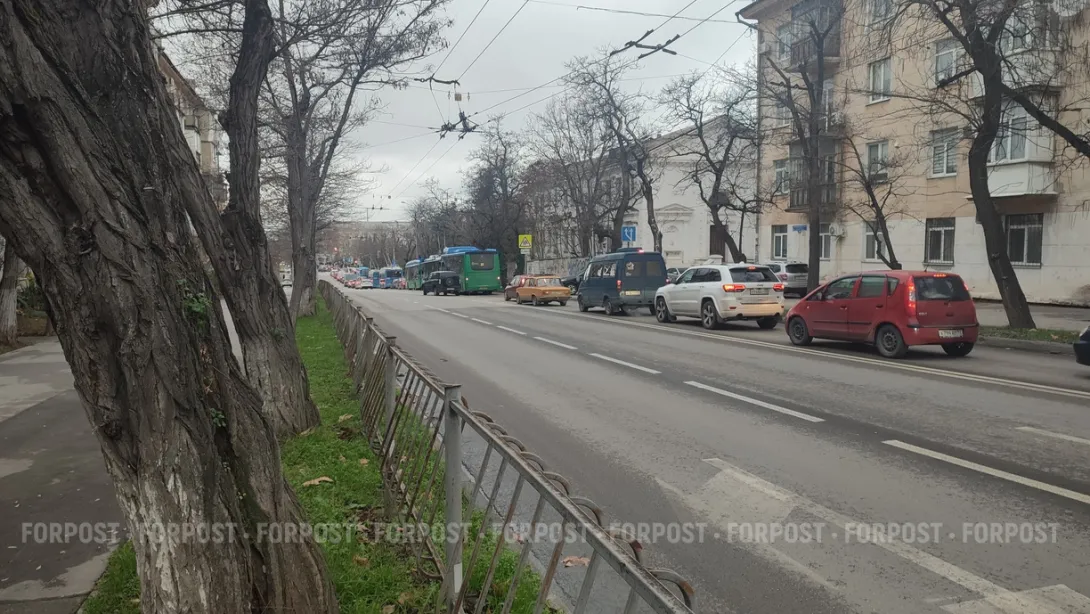 Севастопольские коммунальщики и дорожники добились упрощения в обрезке деревьев
