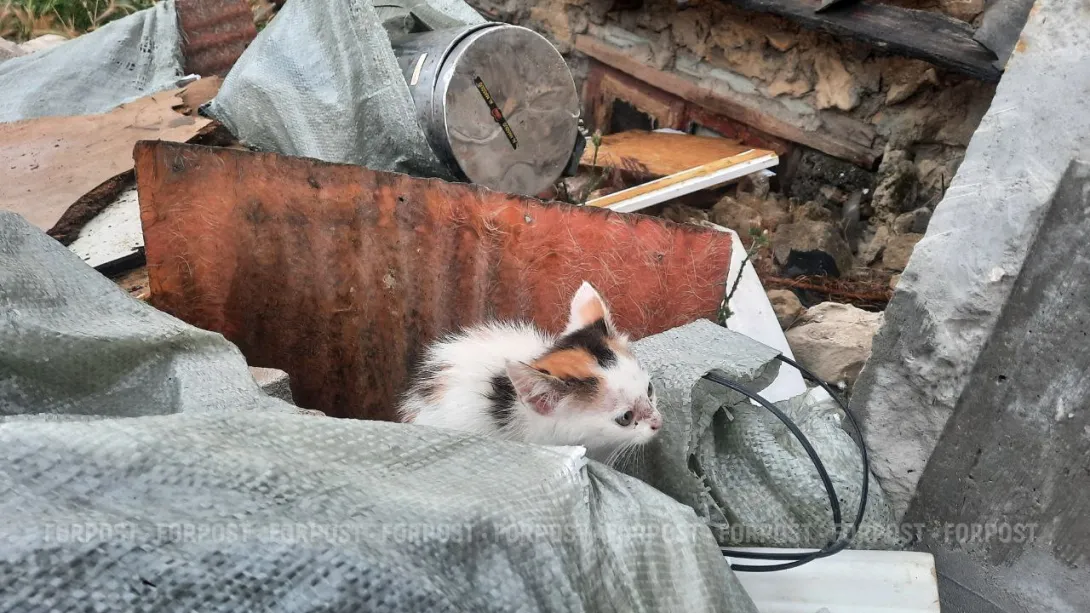 Улица Романтиков, или «Мусорный тупик» Севастополя