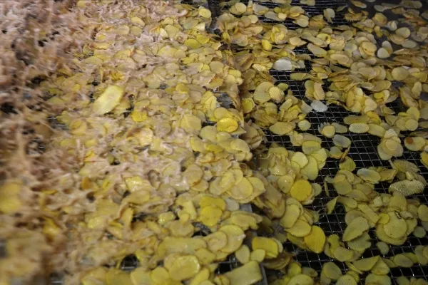 В России впервые вводится ГОСТ на чипсы